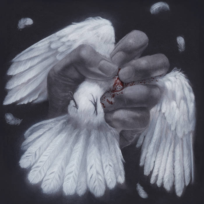 Converge - The Poacher Diaries