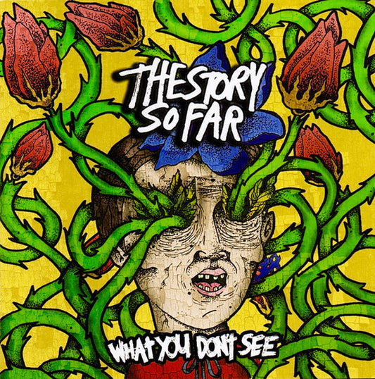 The Story So Far - What You Don’t See