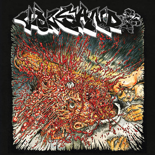 Volcano - Fool 2 Tha Game