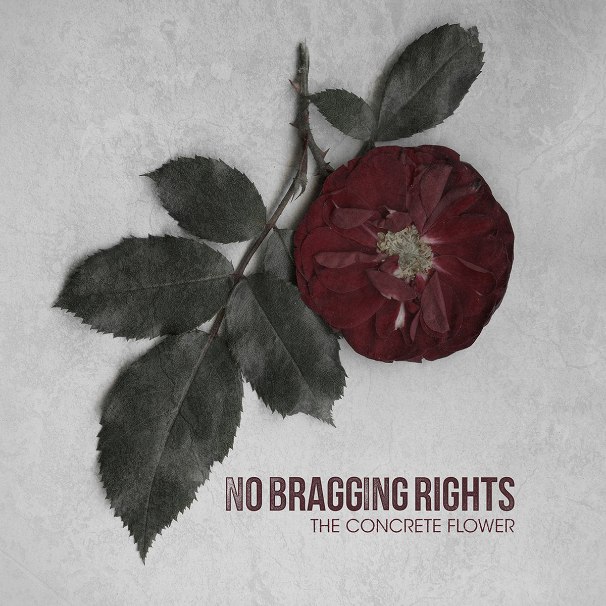 No Bragging Rights - The Concrete Flower