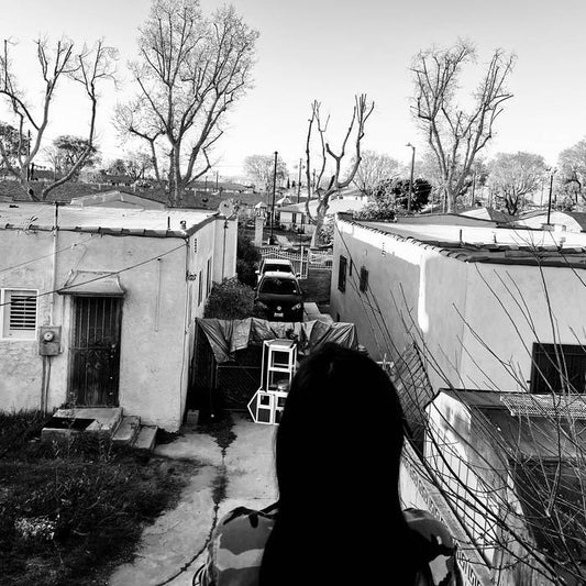 Generacion Suicida - Regeneracion